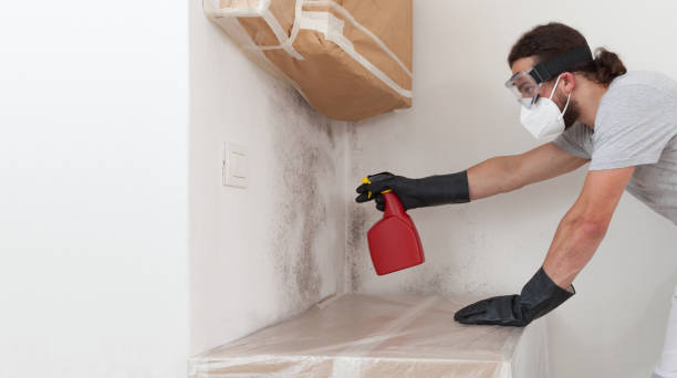 Professional Bathroom Mold Removal technician working in Eaton, CO
